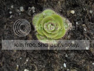 DSCN0040-3.jpg