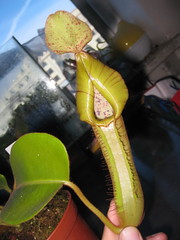 6003673991_0e372267c0_m.jpg