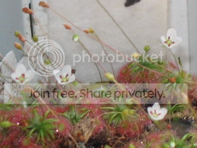 IMG_0084.jpg