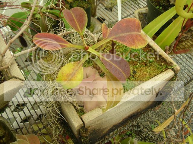 DSCN4355.jpg