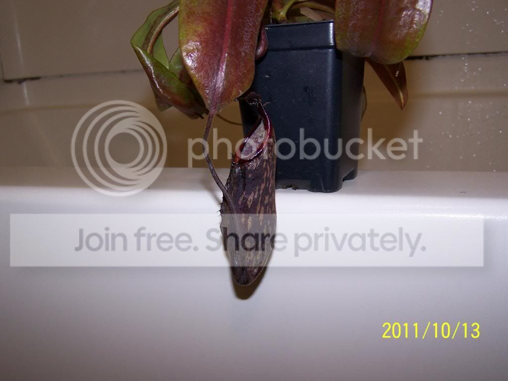 100_5364.jpg