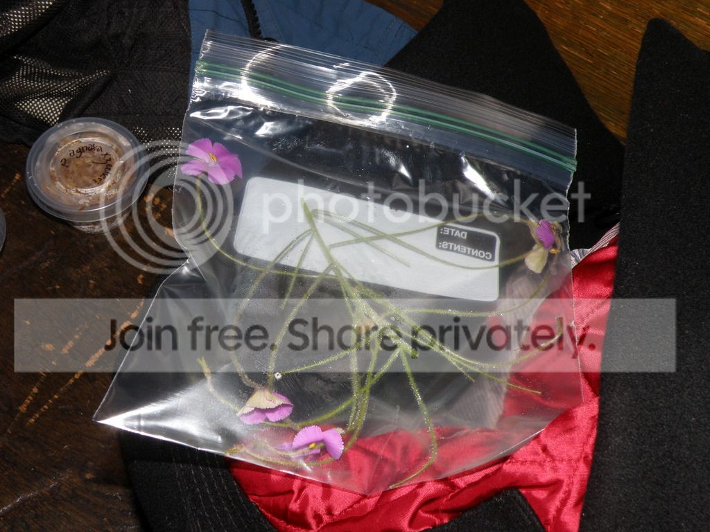 PC107923.jpg