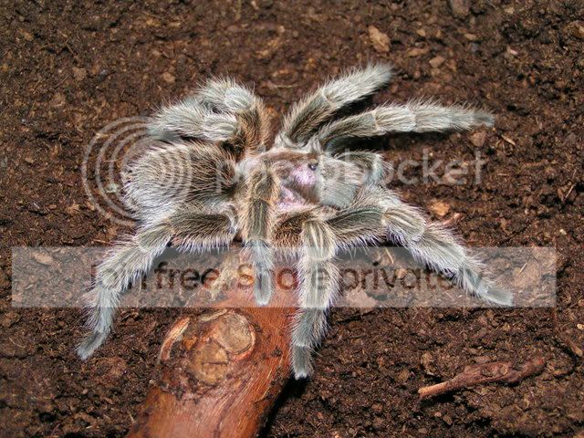 PICT0524.jpg