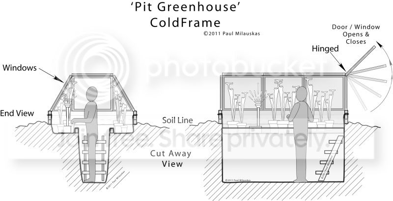 ColdFrame2a.jpg