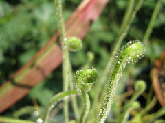 9704722629_21a7a81292_m.jpg