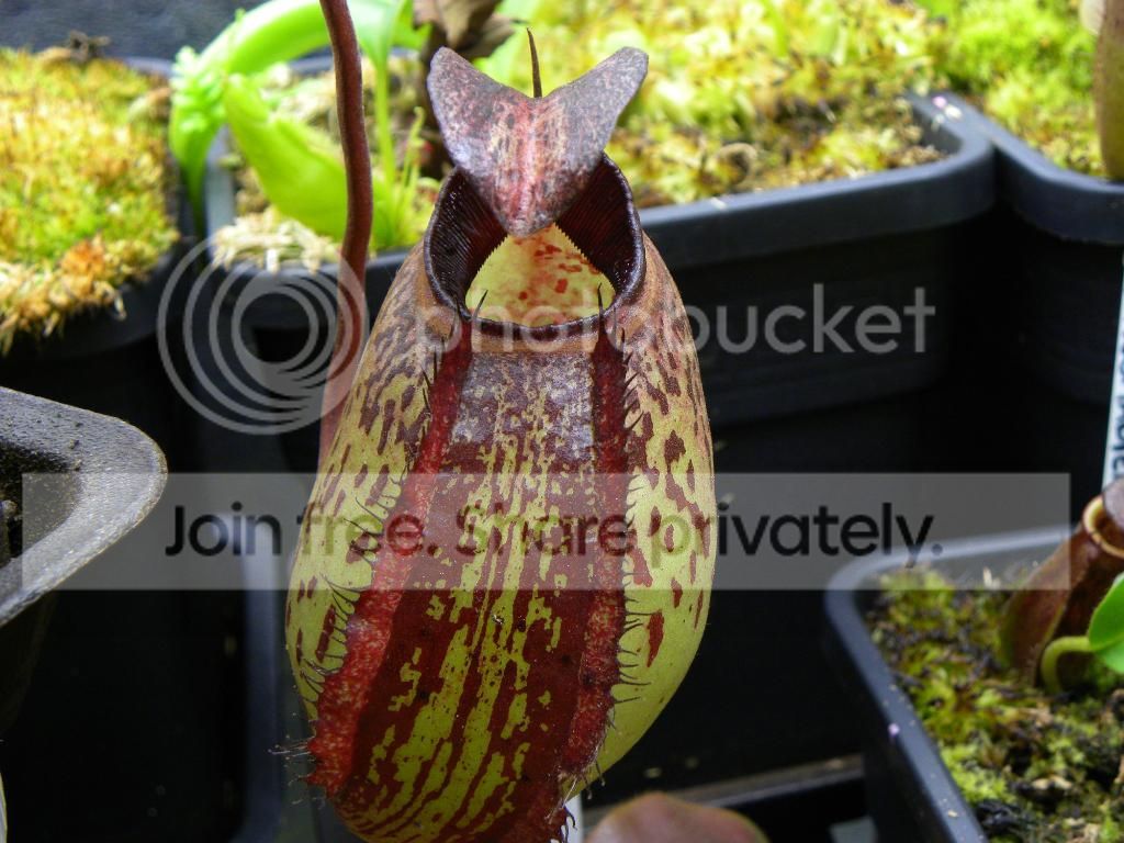 014-2.jpg