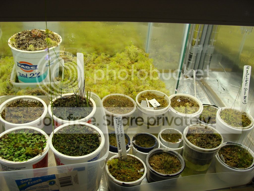 DSC05949.jpg