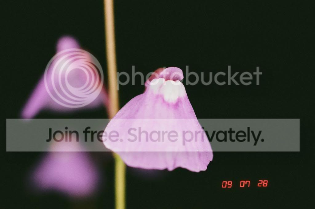 01230014copy.jpg