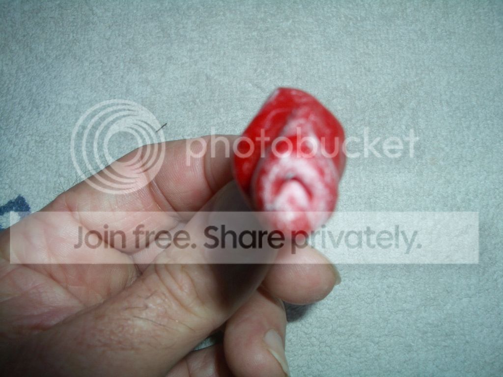 IMGP8433_zpsb33951c4.jpg