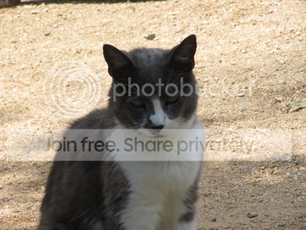 IMG_7105.jpg