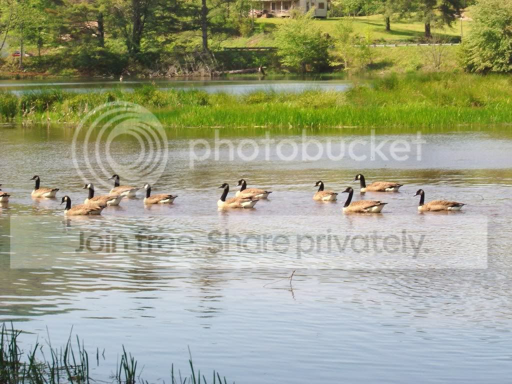 DSC03732.jpg