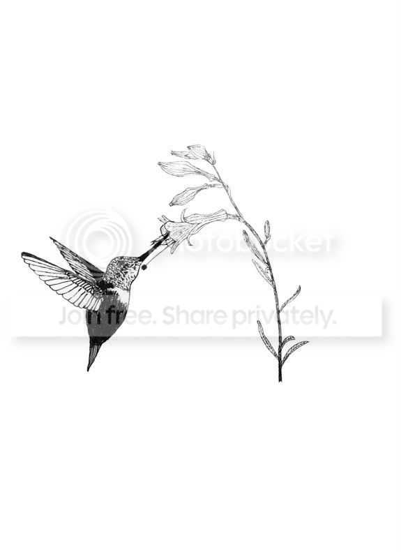 hummer-1.jpg