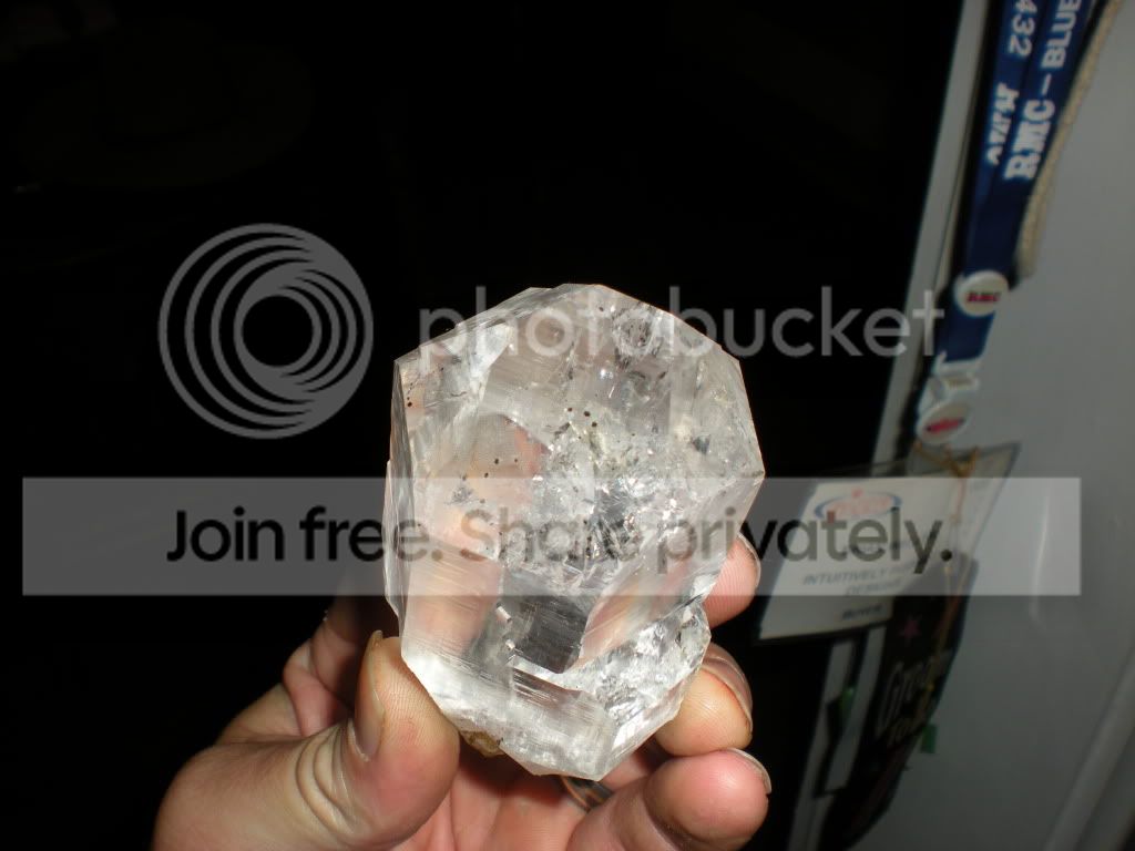 DSCN7183.jpg