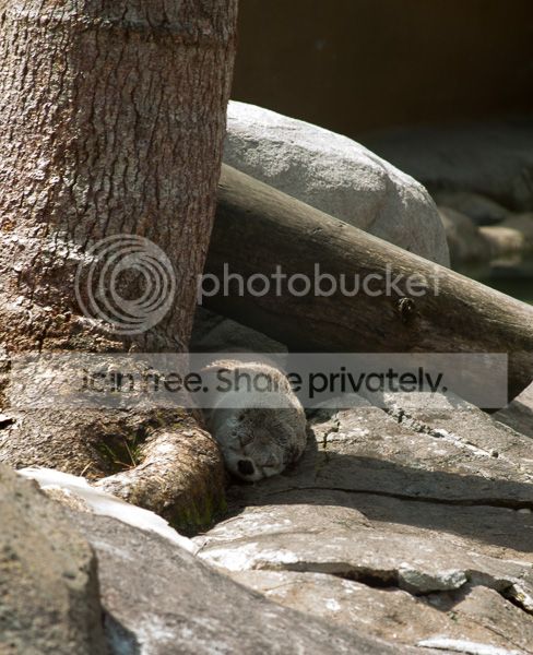 IMG_6483_zpse85e6fa5.jpg