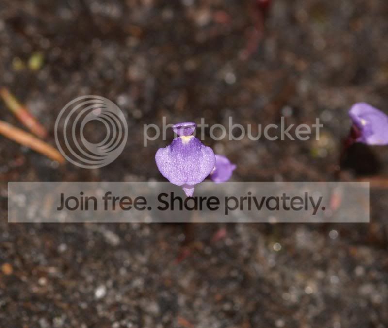 032.jpg
