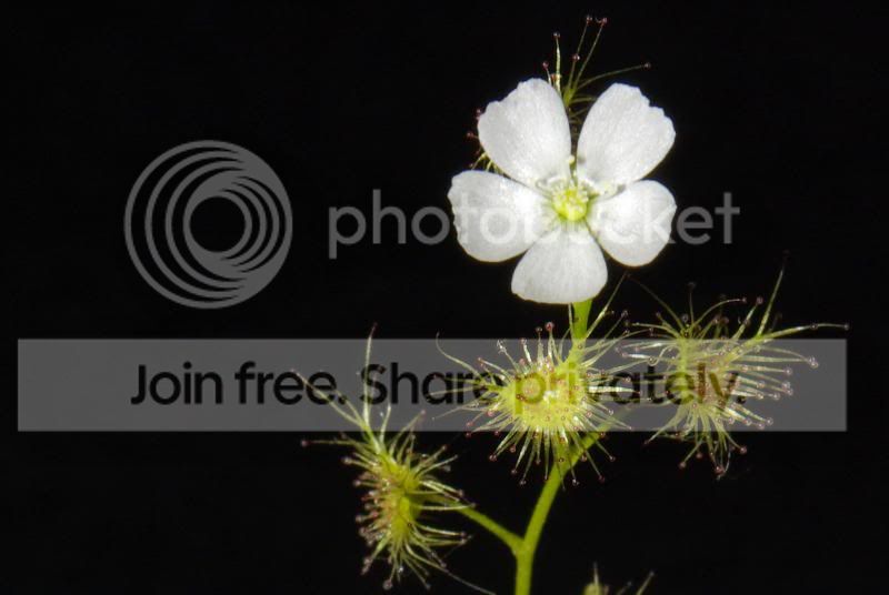 _IGP0502bb.jpg