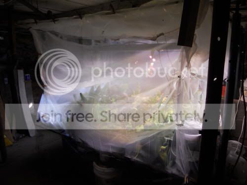 chamber01_3-5-12.jpg