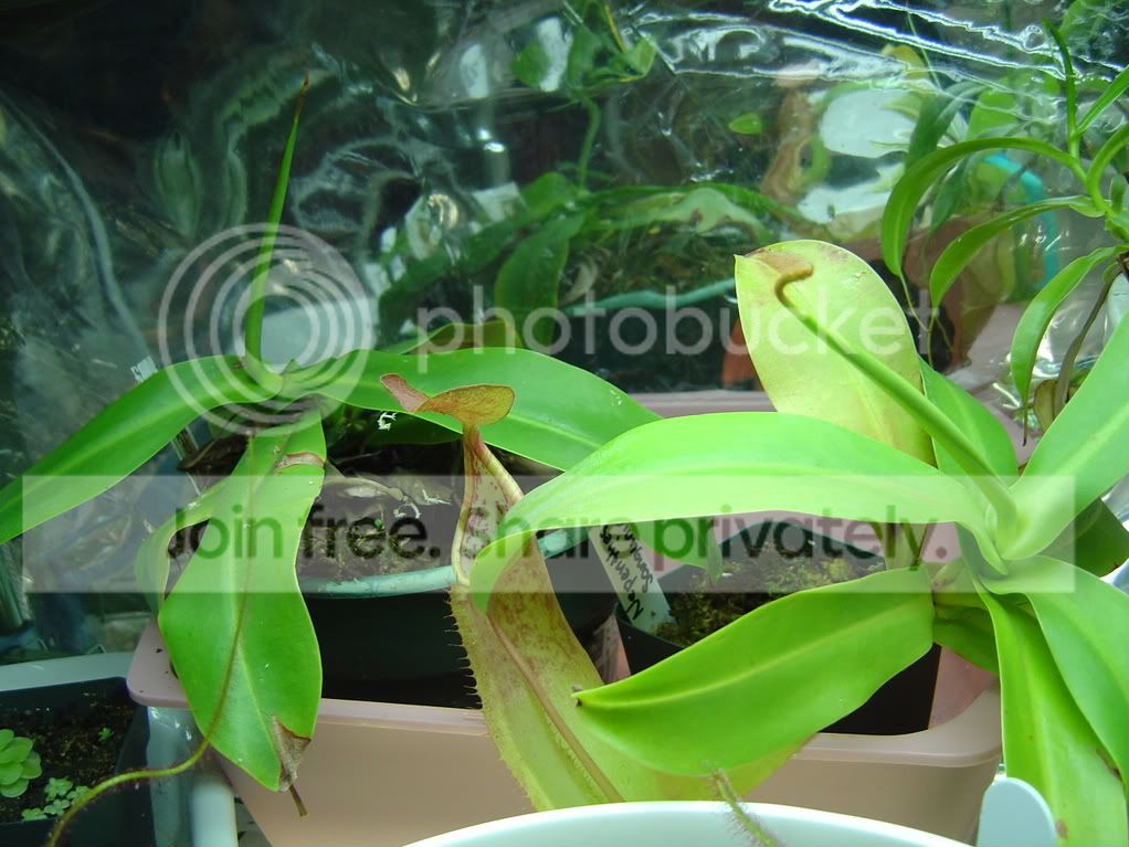 CPs1-4-09015.jpg