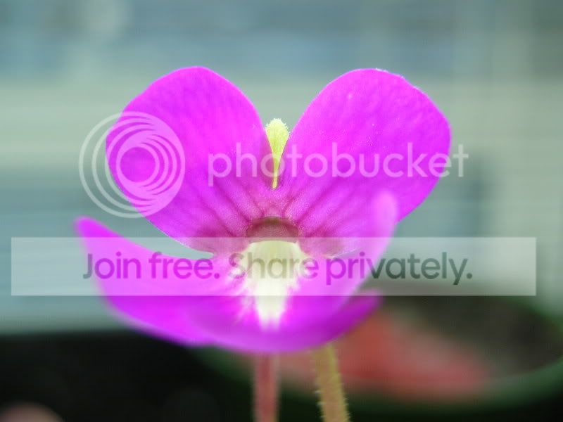 DSCN3196.jpg