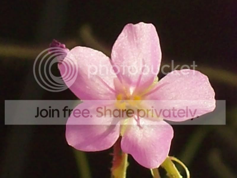 100_8742.jpg