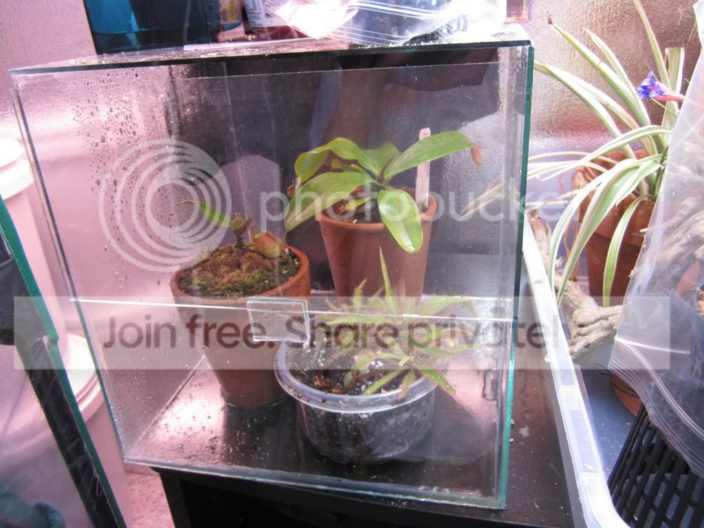 IMG_1400_zpse263cf4c.jpg