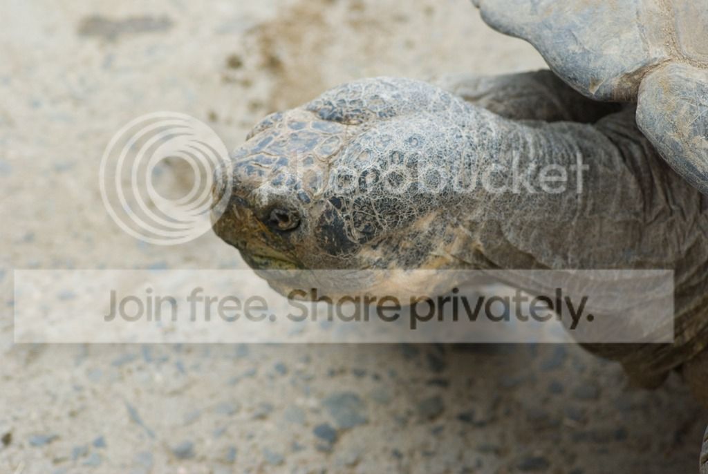 IMGP3320_zpswsgihvf4.jpg