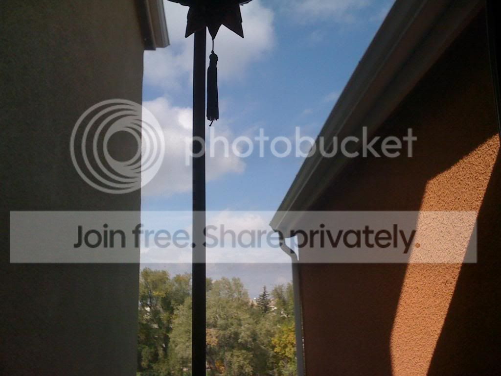 Picture393-1.jpg