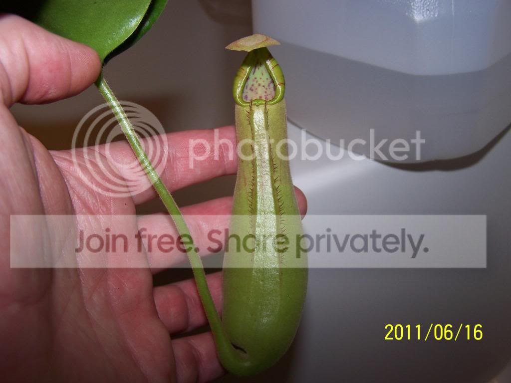 100_4645.jpg