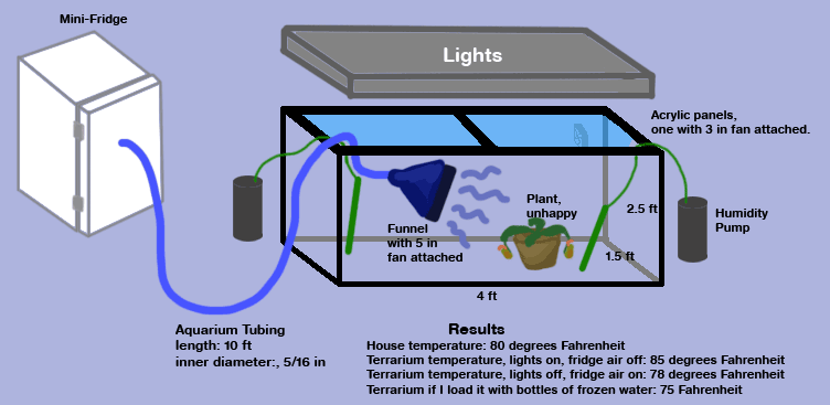 terrarium.gif