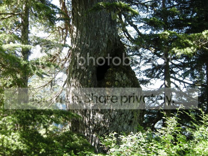 DSCN6216.jpg
