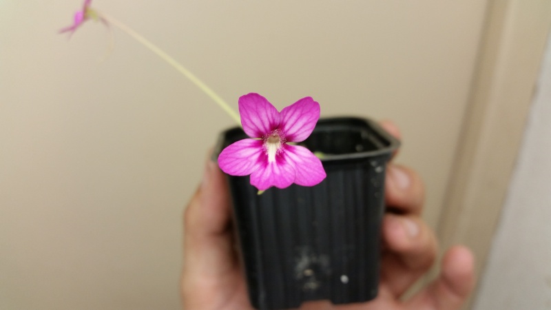 20130210.jpg