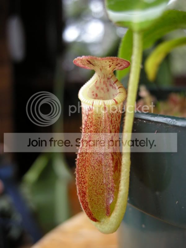 DSCN5827.jpg