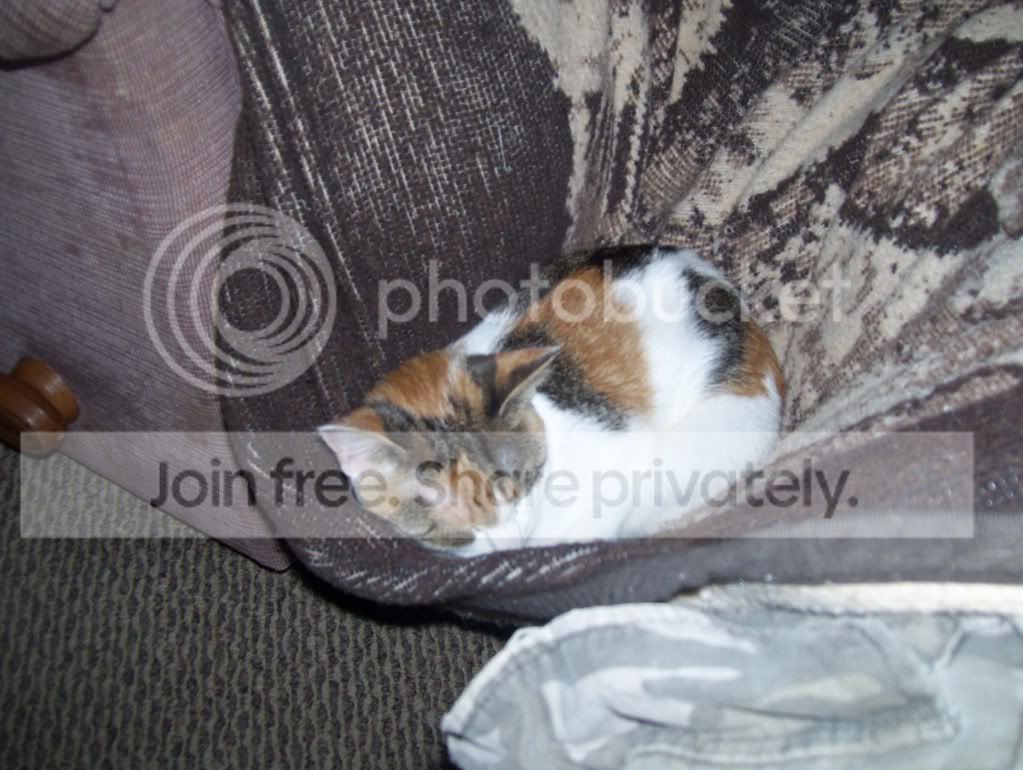 100_3820.jpg