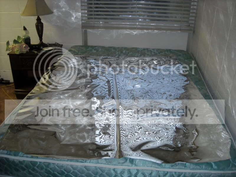 mylar.jpg