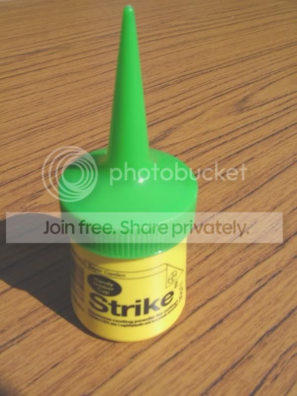 DSCF9206.jpg