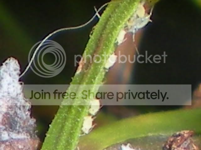 RSCN7069.jpg