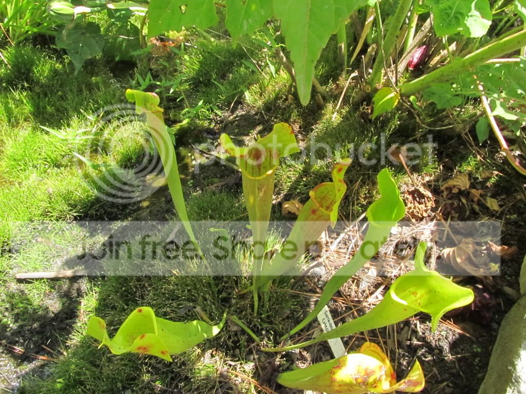IMG_7078.jpg