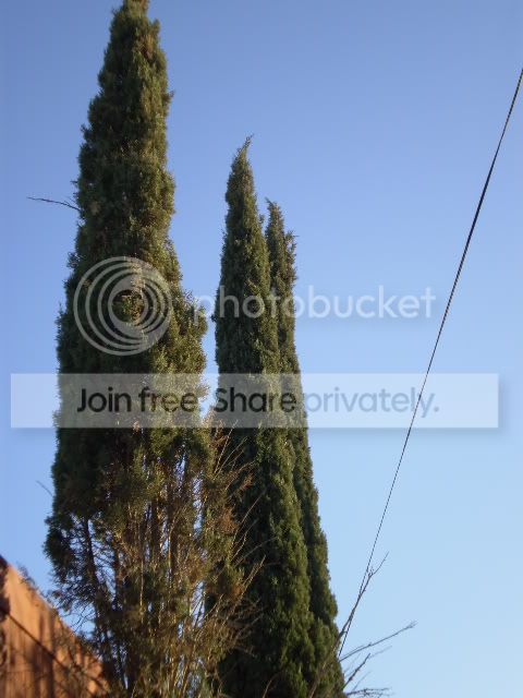 PB190080.jpg