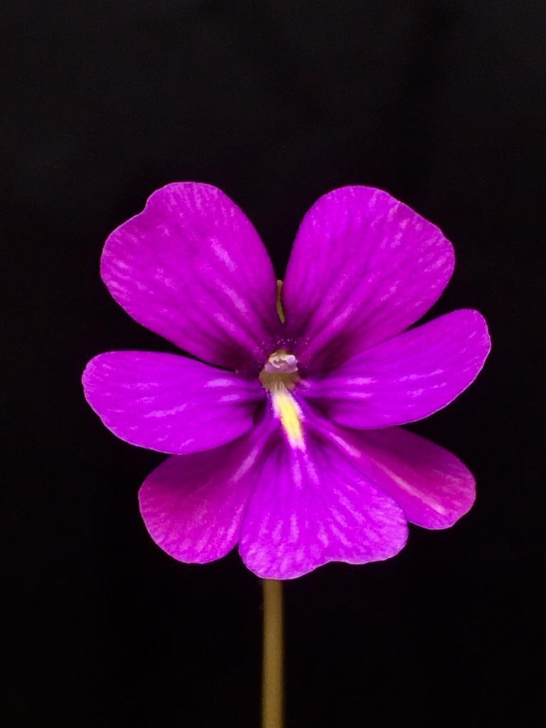 ff06e4677c21b228fc57d0ba91356d1a.jpg