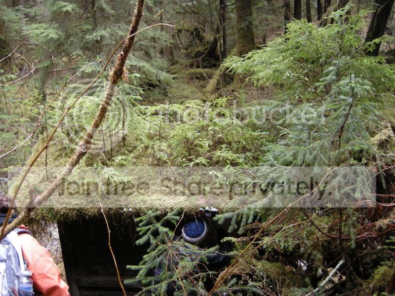 DSCN5929.jpg