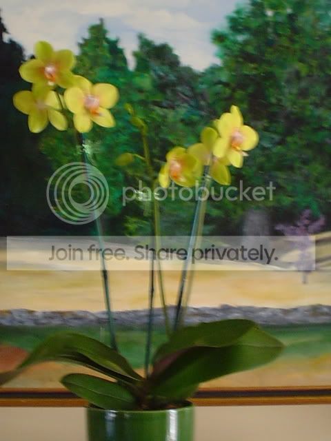 DSC01114.jpg