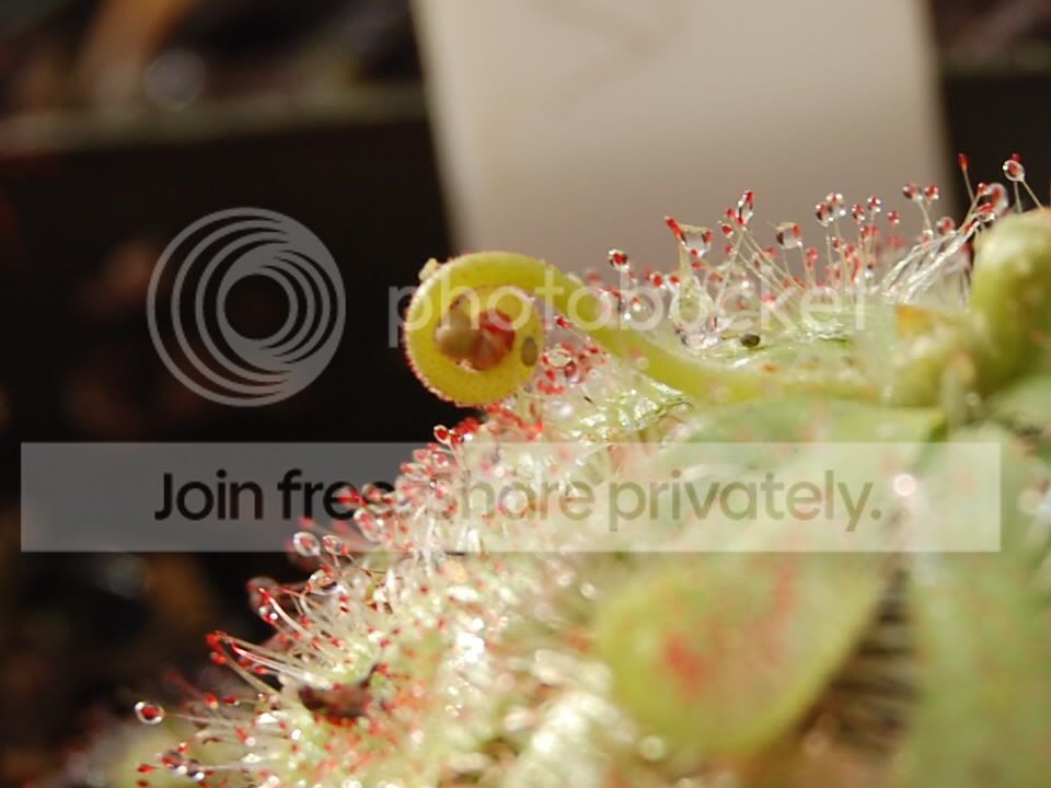 CSC_0176.jpg