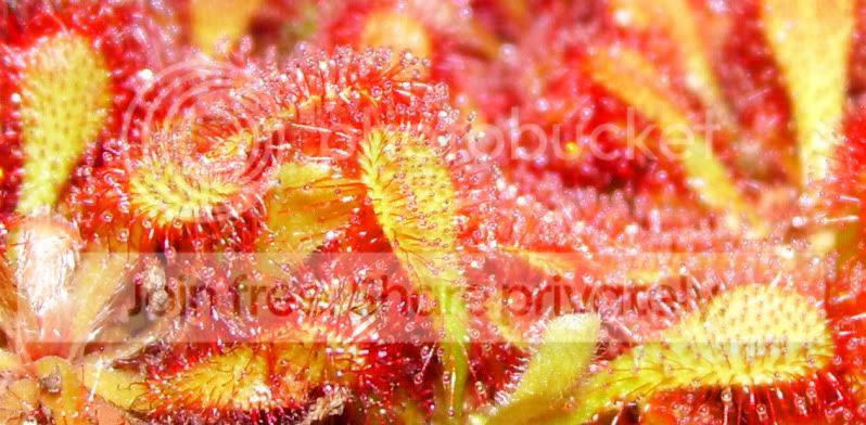 100_2944.jpg