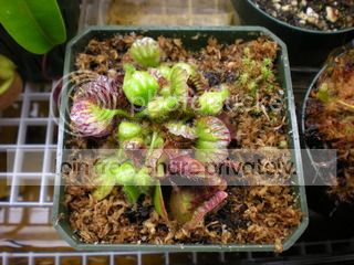 DSCN2861.jpg