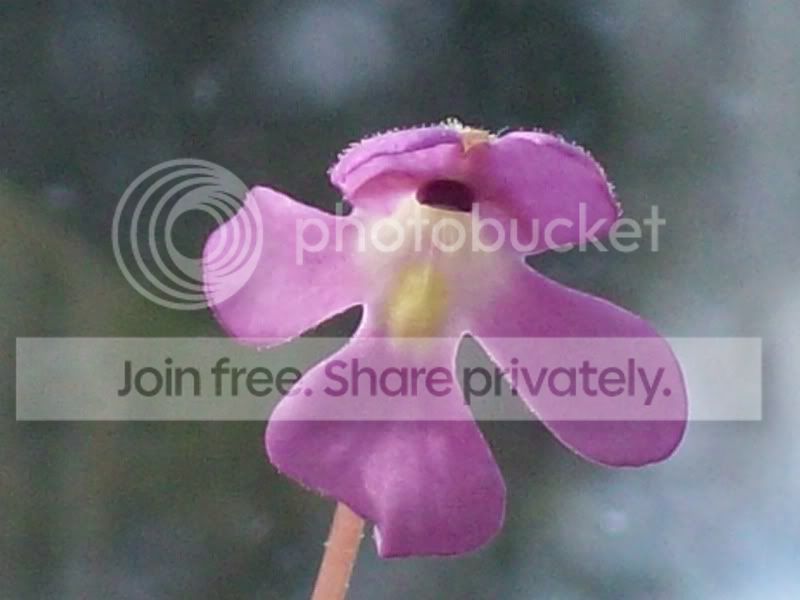 100_8997.jpg