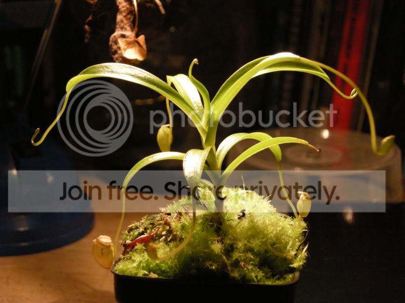 DSCN5820.jpg