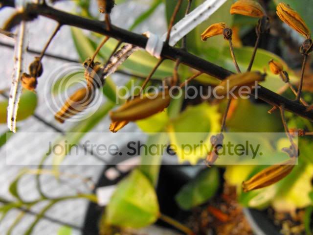 2009_12240049.jpg