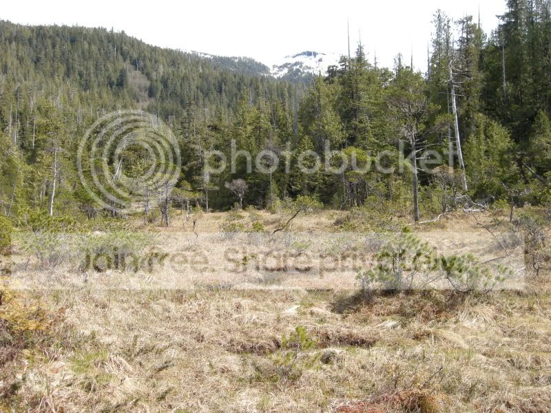 DSCN5940.jpg
