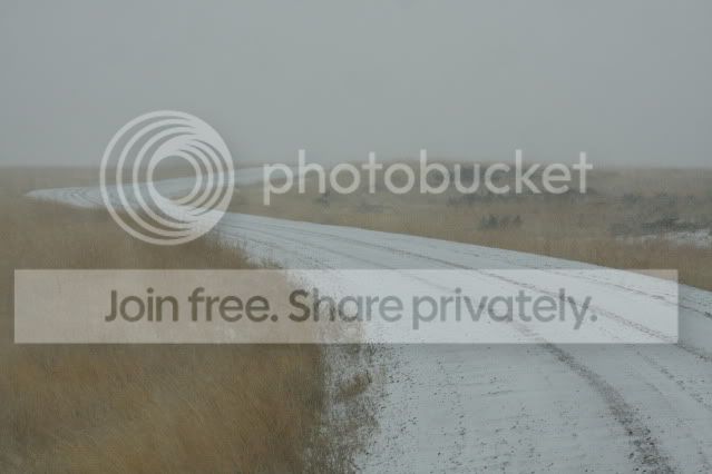 IMG_8074.jpg