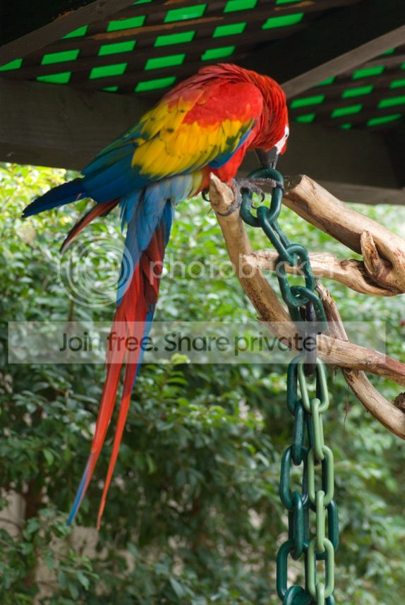 IMGP3310_zpswygvrehe.jpg